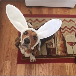 Meet your Posher, Madi